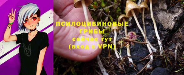 твердый Абинск