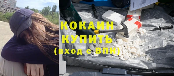 твердый Абаза