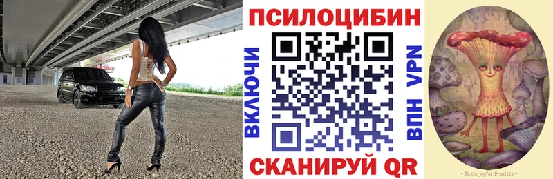 Псилоцибиновые грибы Psilocybine cubensis  MEGA как зайти  Терек 